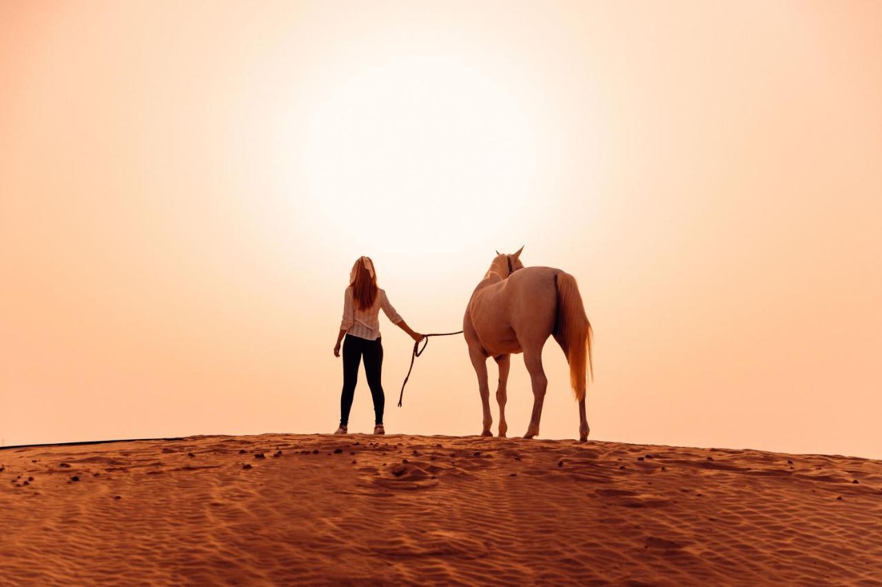 Al Wathba, A Luxury Collection Desert Resort & Spa, Abu Dhabi Eksteriør bilde